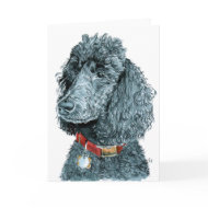 Black Poodle Whitney Greeting Card