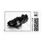 Black stamp
