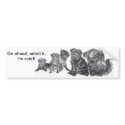 Black Pug bumper stickers
