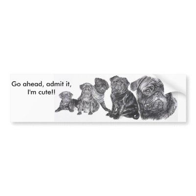 Black Pug Bumper Sticker by BarbBarcikKeith