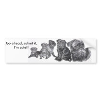 Black Pug bumper stickers