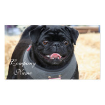 Black Pug Business Cards