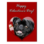 Black Pug in tulips Postcard