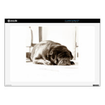 Black Pug Laptop Skins
