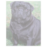 Black Pug Letterhead Template