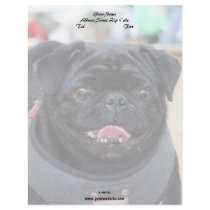 Black Pug Letterhead