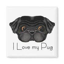 Black Pug magnets