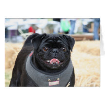 Black Pug notecard