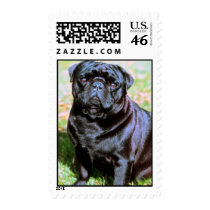 Black Pug postage