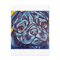 Black Pug Postcard