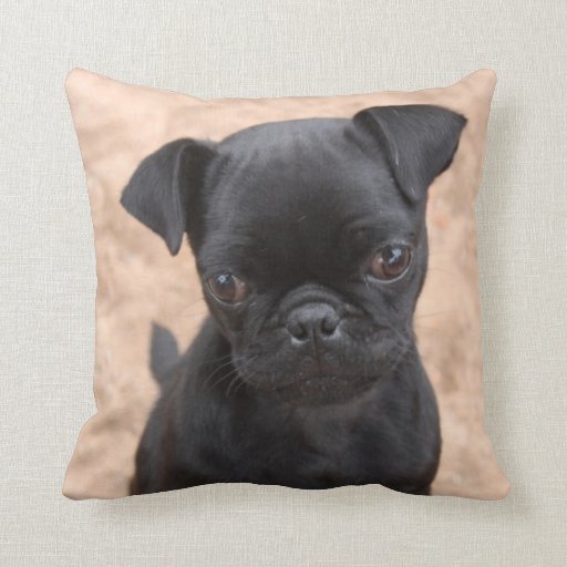 black pug pillow black pug puppy pillow zazzle black pug pillow black pug puppy pillow zazzle