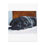 Black Pug Puppy Postcard