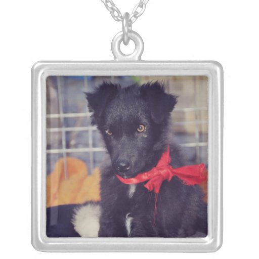 Black puppy custom jewelry
