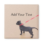 Black Puppy Prints on the Beach Magnet