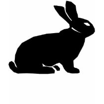 BLACK RABBIT T SHIRTS