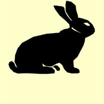 BLACK RABBIT T SHIRTS