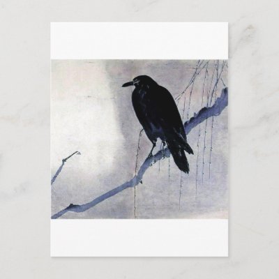 Black Raven Bird Postcard