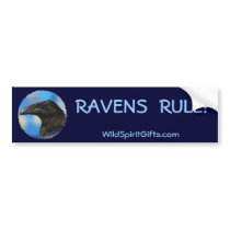 BLACK RAVEN Collection bumper stickers by RavenSpiritPrints BLACK RAVEN Collection bumper stickers