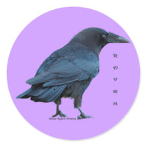 Black Raven Collection III stickers by RavenSpiritPrints Black Raven Collection III stickers