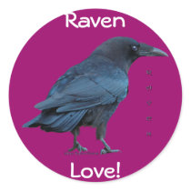 Black Raven Collection III Round Stickers
