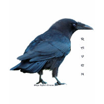 Black Raven Collection III t-shirts