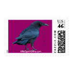 Black Raven Collection III Wildlife Postage Stamps