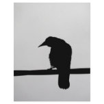 black raven letterhead