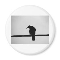 black raven magnets by laengauer black raven magnets
