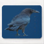 Black Raven Mousepad Collection III