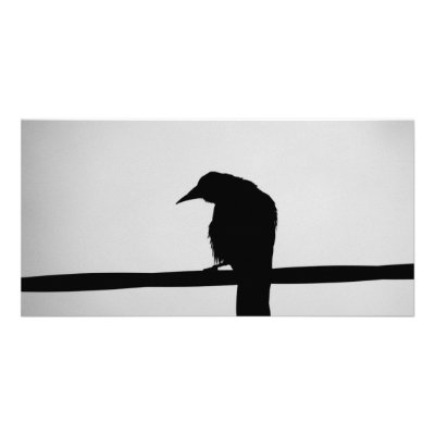 black raven personalized photo card by laengauer