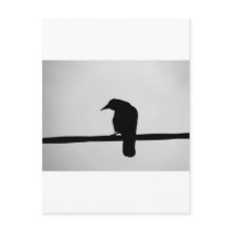 black raven postcards by laengauer black raven postcards