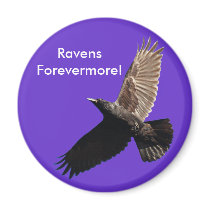 Black Raven Series magnets by RavenSpiritPrints Black Raven Series magnets