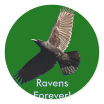 Black Raven Series stickers by RavenSpiritPrints Black Raven Series stickers