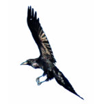 Black Raven Series Shirt