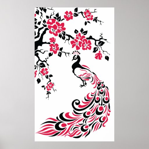 Black red peacock and cherry blossoms poster
