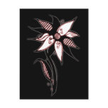 Black Red & White Swirly Flower by Naomi Post Card