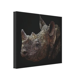 Black Rhino Canvas Print