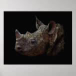 Black Rhino Print