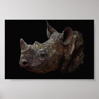 Black Rhino Print
