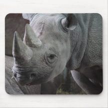 Black Rhinoceros Photo Mouse Pads