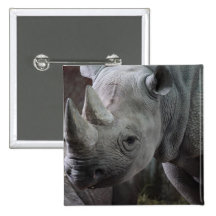Black Rhinoceros Photo Pinback Button