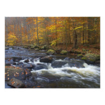 Black River in Autumn - Scenic NJ photography