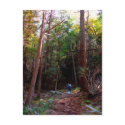 Black Rock Trails, Harriman State Park, New York postcards