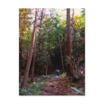 Black Rock Trails, Harriman State Park, New York postcards