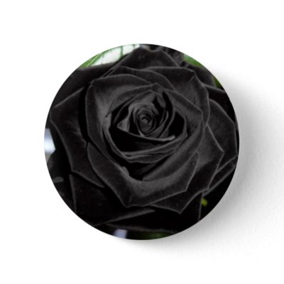 black roses