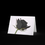 Black Rose Cards