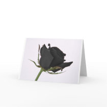 Black Rose Cards