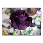"Black Rose" Card
