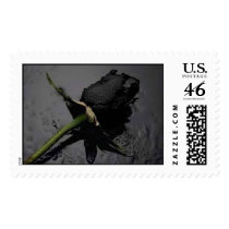 Black Rose postage by Alwaysnblack Black Rose postage