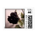 Black Rose Postage Stamps by oph3lia Black Rose Postage Stamps